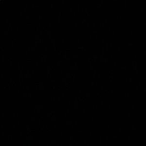 Meet your Posher, Savannah